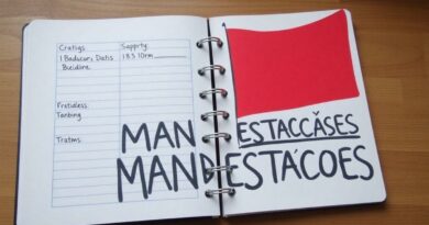 como-estruturar-um-diario-de-manifestacoes